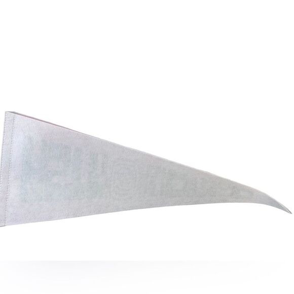 NWOT - Travis Scott 2021 ASTROWORLD Tour Pennant Flag- 24” Black/Blue Gray Flag - Picture 2 of 4